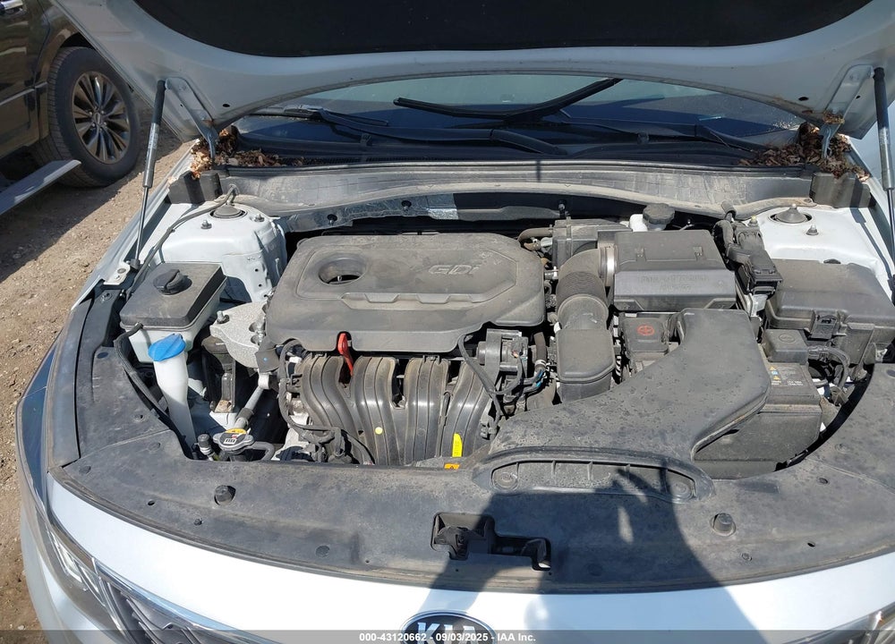 2019 KIA OPTIMA VIN: 5XXGT4L3XKG358758