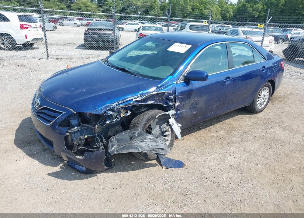 2010 TOYOTA CAMRY LE VIN: 4T4BF3EK2AR031619