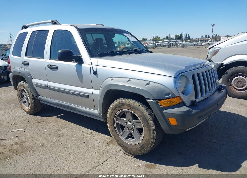 2006 JEEP LIBERTY RENEGADE VIN: 1J4GL38K06W191304