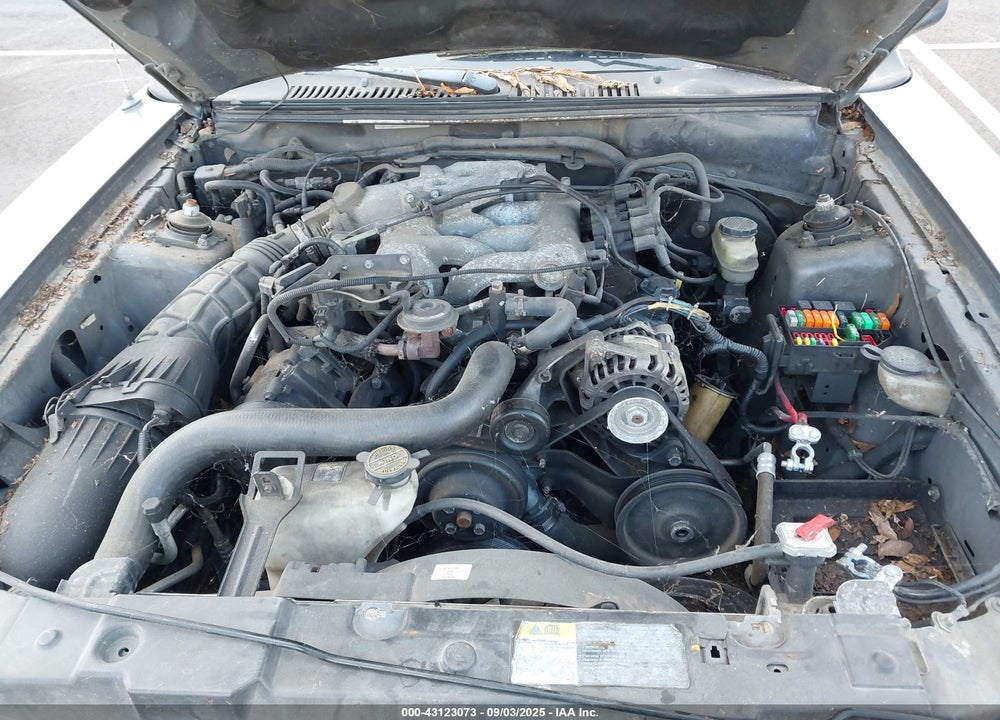 2003 FORD MUSTANG VIN: 1FAFP404X3F350467
