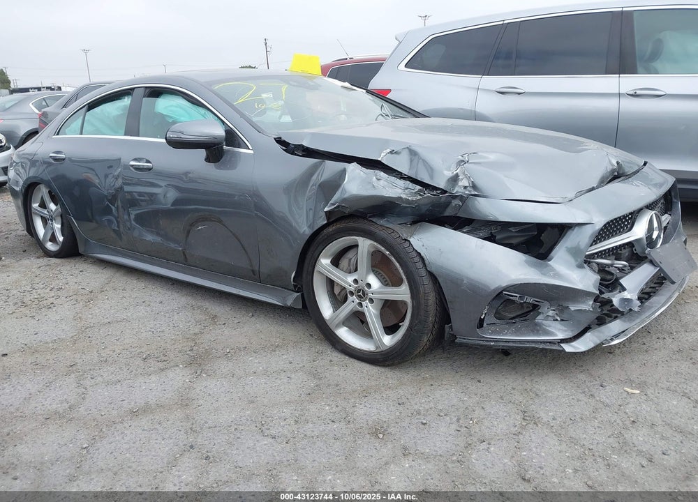 2019 MERCEDES-BENZ CLS 450 VIN: WDD2J5JB2KA031014