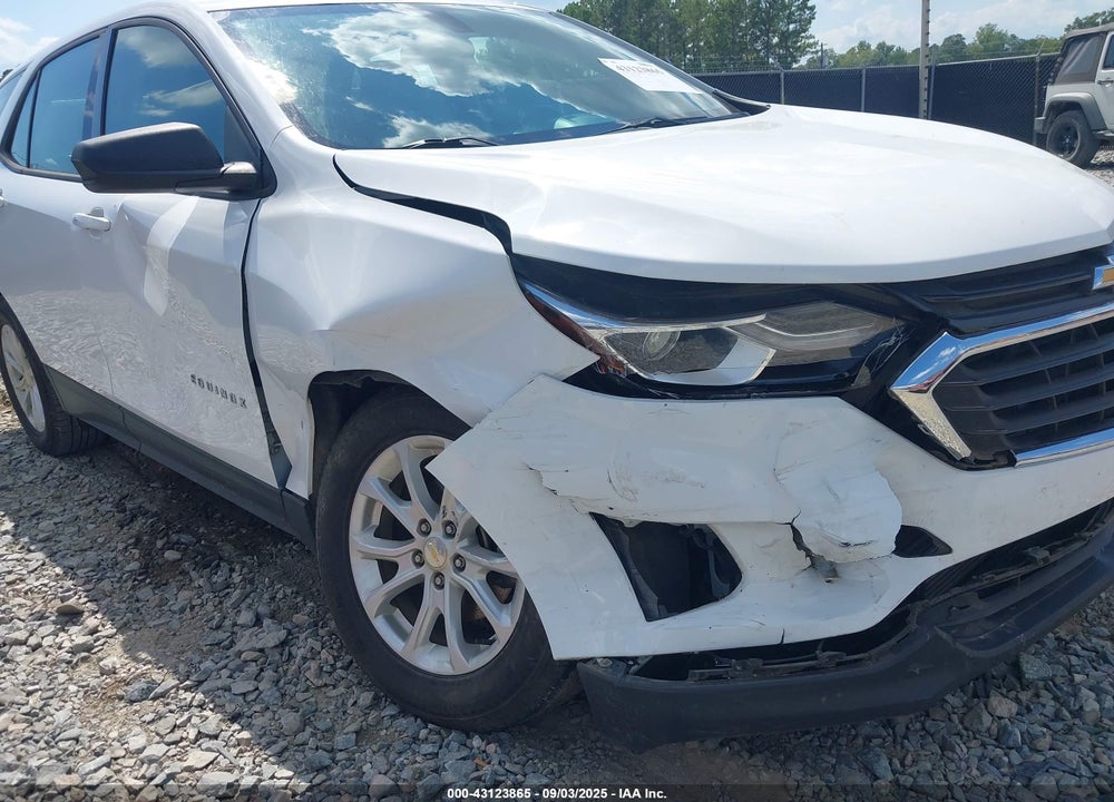 2018 CHEVROLET EQUINOX LS VIN: 2GNAXHEV4J6301454