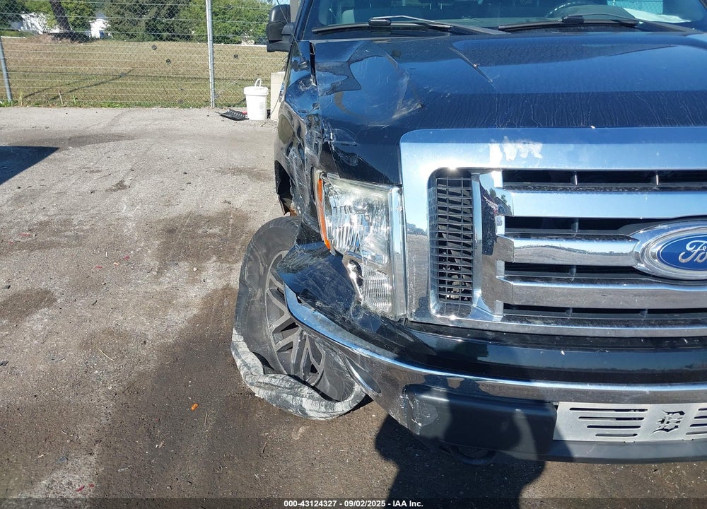 2011 FORD F-150 VIN: 1FTFX1EF6BFC22499