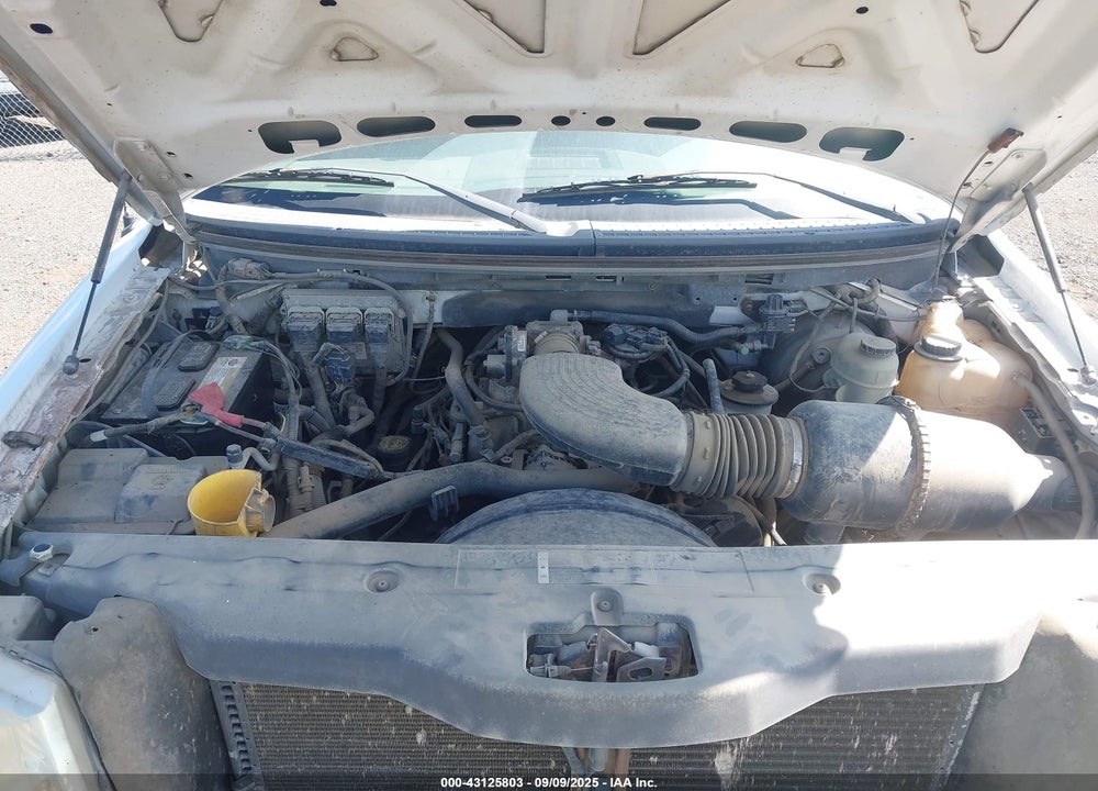 2006 FORD F-150 STX/XL/XLT VIN: 1FTRX14W06NA36998