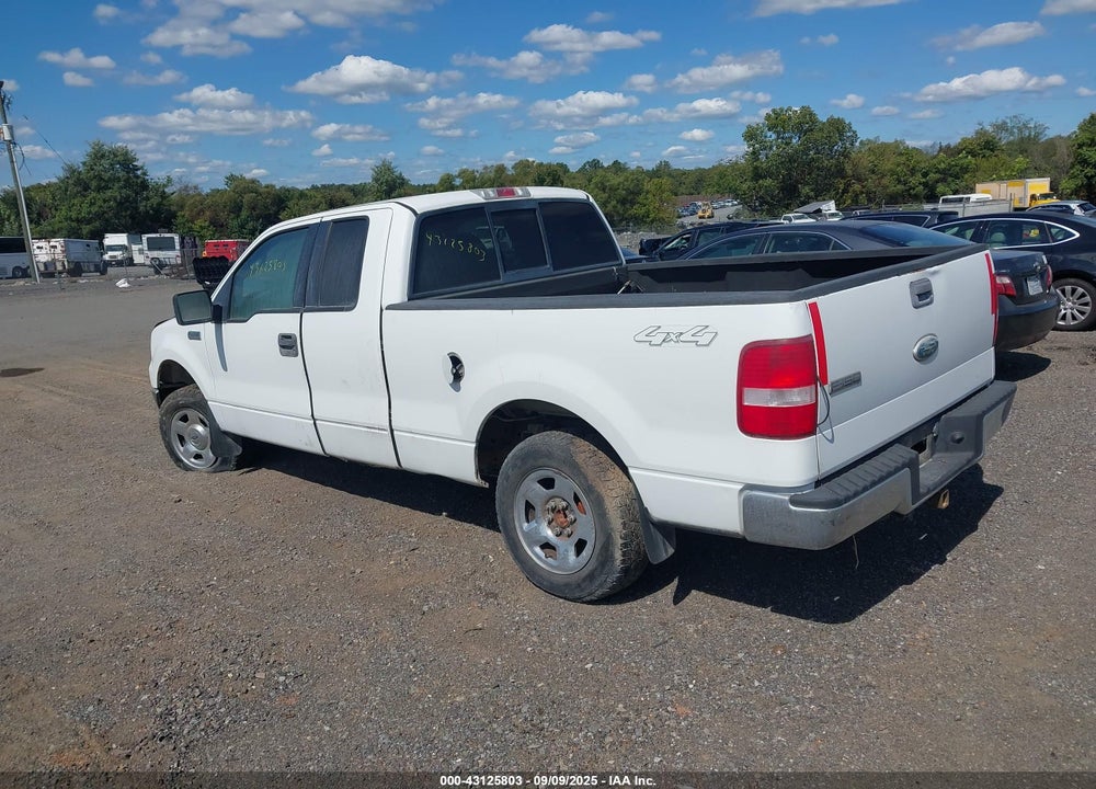 2006 FORD F-150 STX/XL/XLT VIN: 1FTRX14W06NA36998