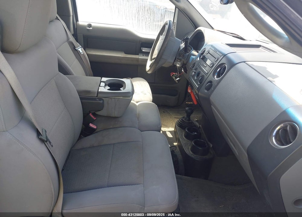 2006 FORD F-150 STX/XL/XLT VIN: 1FTRX14W06NA36998
