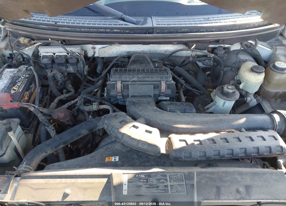 2006 FORD F-150 FX4/LARIAT/XLT VIN: 1FTPW14566KD51081