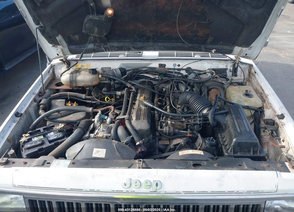 1988 JEEP CHEROKEE LAREDO VIN: 1JCMR7841JT209060