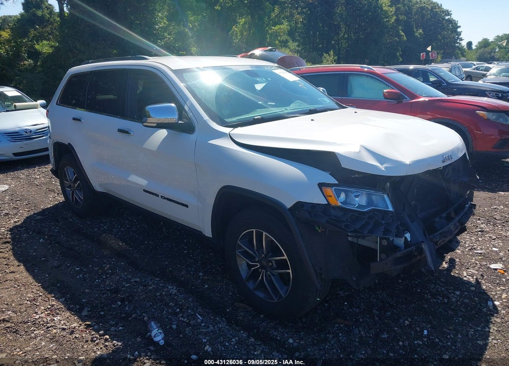 2019 JEEP GRAND CHEROKEE LIMITED 4X4 VIN: 1C4RJFBG0KC846275