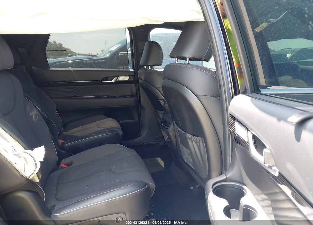 2025 HYUNDAI PALISADE VIN: KM8R7DGE9SU818121