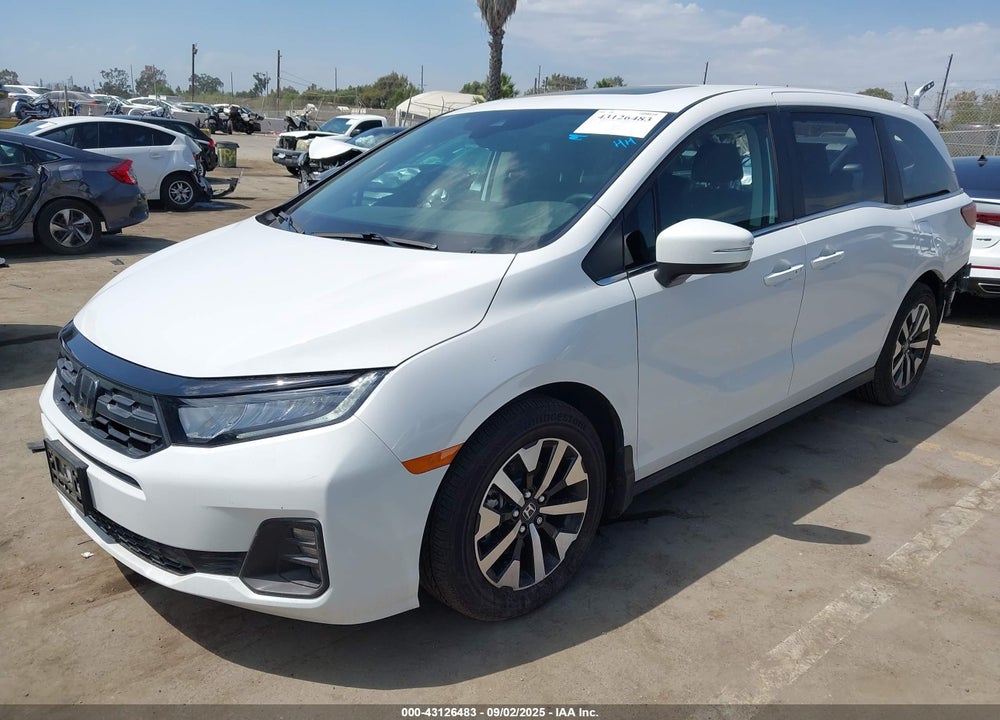 2025 HONDA ODYSSEY VIN: 5FNRL6H69SB012517
