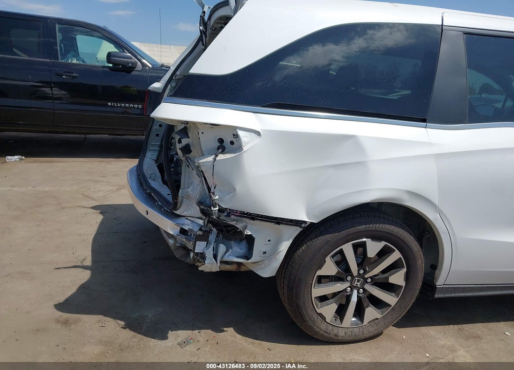 2025 HONDA ODYSSEY VIN: 5FNRL6H69SB012517