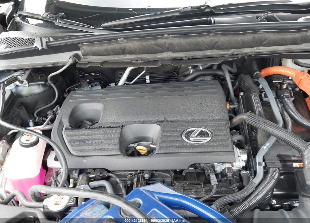 2024 LEXUS RX 350H VIN: 2T2BBMCA0RC050393