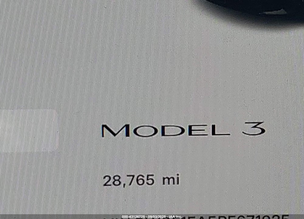 2023 TESLA MODEL 3 REAR-WHEEL DRIVE VIN: 5YJ3E1EA5PF671925