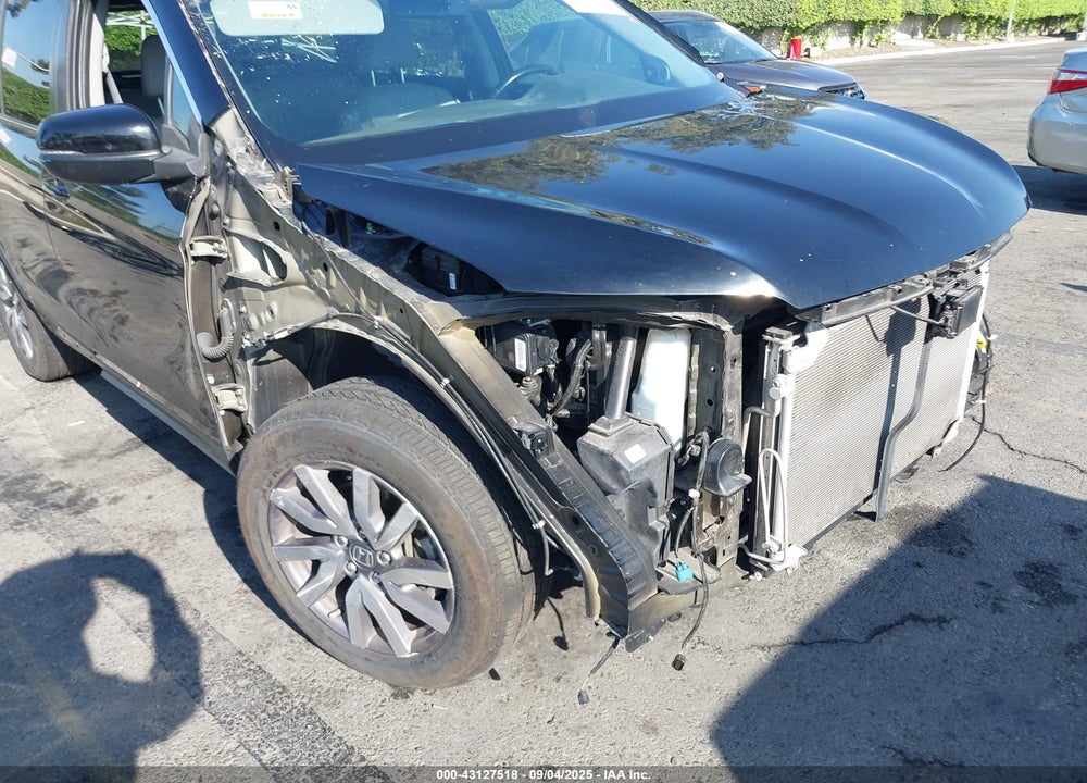 2019 HONDA PILOT VIN: 5FNYF5H58KB044315