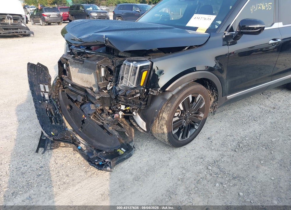 2023 KIA TELLURIDE VIN: 5XYP5DGC1PG361622