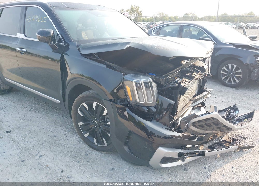 2023 KIA TELLURIDE VIN: 5XYP5DGC1PG361622