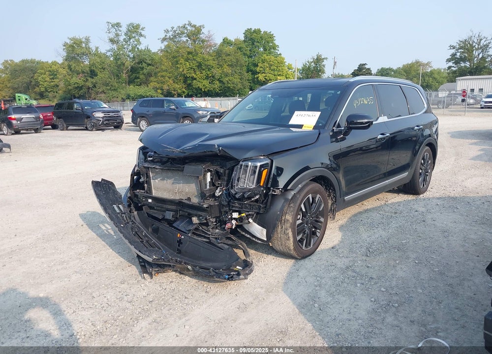 2023 KIA TELLURIDE VIN: 5XYP5DGC1PG361622