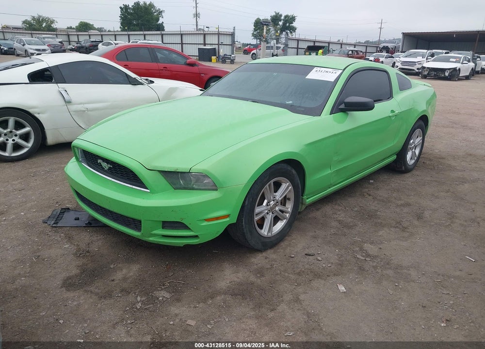 2013 FORD MUSTANG VIN: 1ZVBP8AMXD5238769