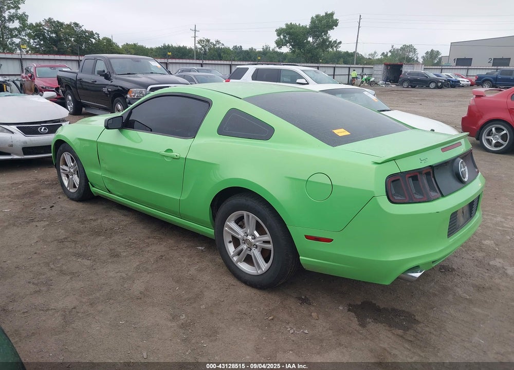 2013 FORD MUSTANG VIN: 1ZVBP8AMXD5238769