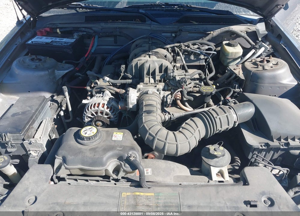 2006 FORD MUSTANG V6 VIN: 1ZVFT80NX65130436