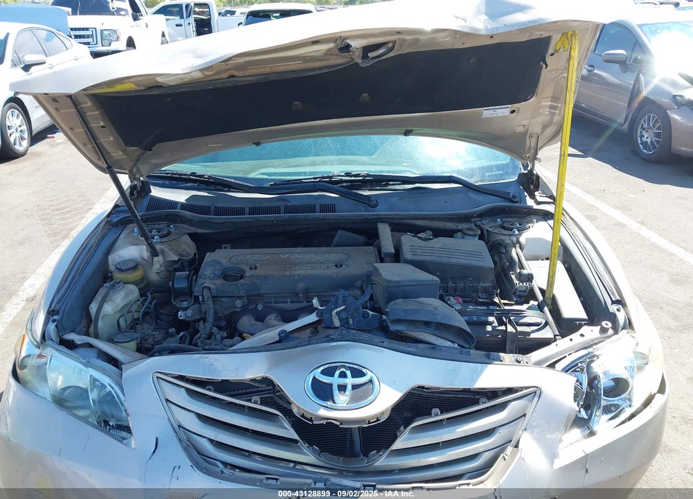 2009 TOYOTA CAMRY VIN: 4T4BE46K39R113460