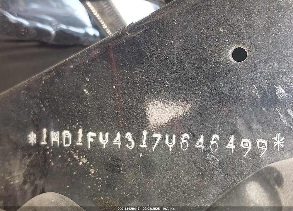 2007 HARLEY-DAVIDSON FLHRS VIN: 1HD1FY4317Y646499