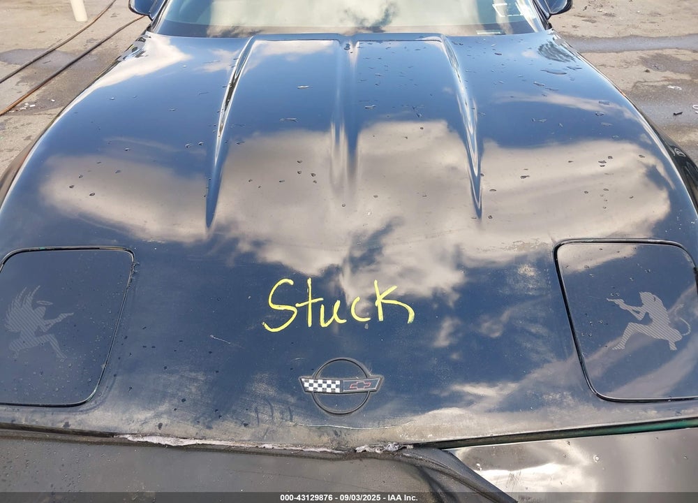 1991 CHEVROLET CORVETTE VIN: 1G1YY2388M5102186