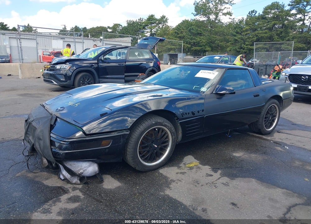 1991 CHEVROLET CORVETTE VIN: 1G1YY2388M5102186