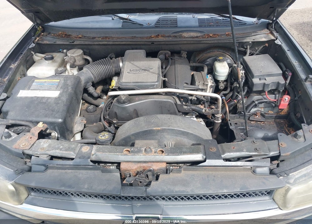 2004 CHEVROLET TRAILBLAZER LT VIN: 1GNDT13S242265600