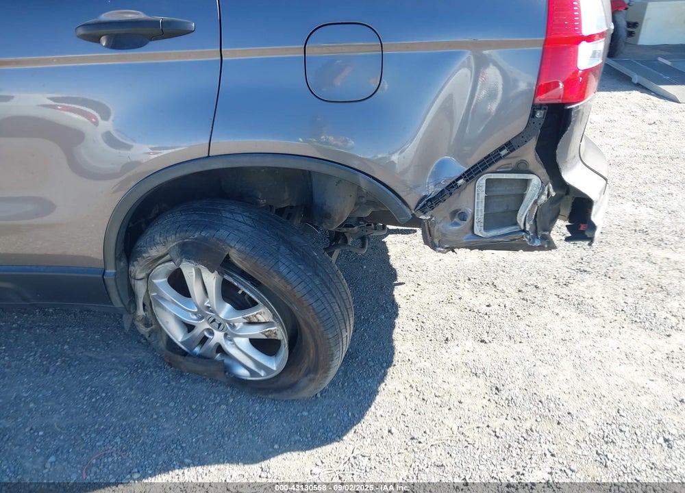 2010 HONDA CR-V VIN: 5J6RE3H53AL033031