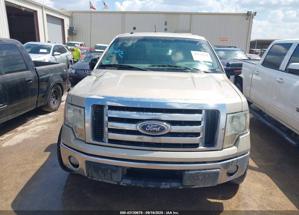 2010 FORD F-150 VIN: 1FTEW1C81AFD86843