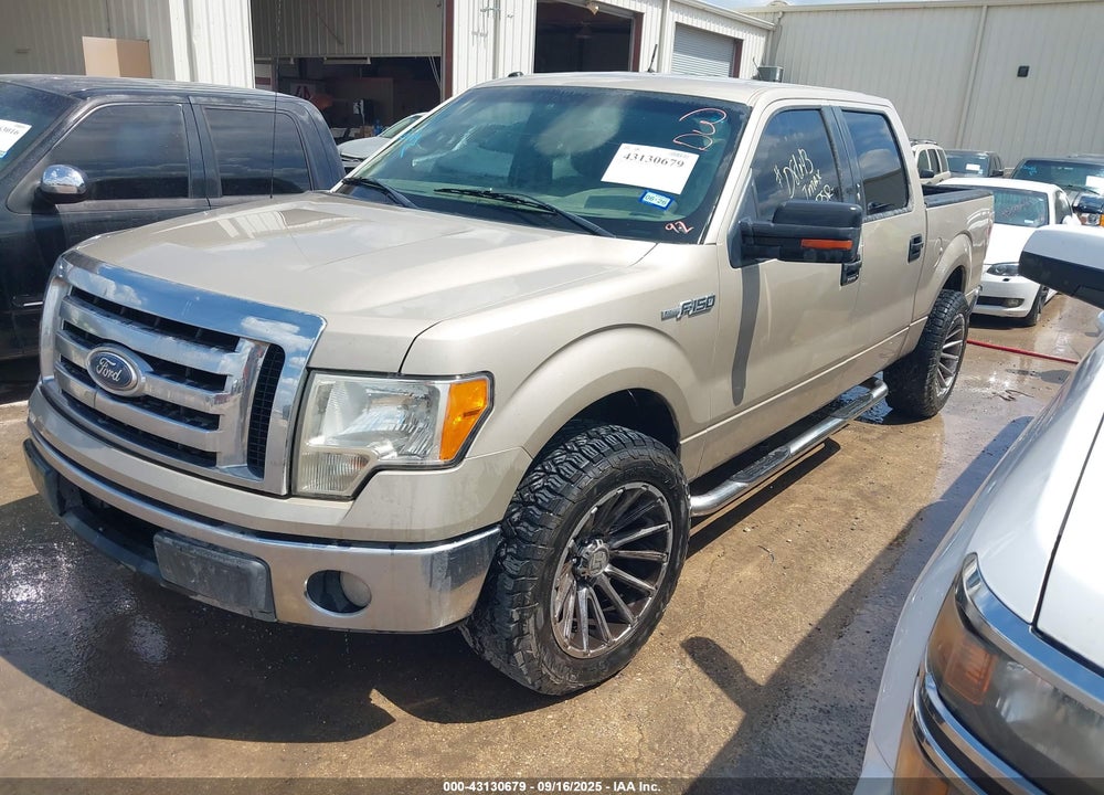 2010 FORD F-150 VIN: 1FTEW1C81AFD86843