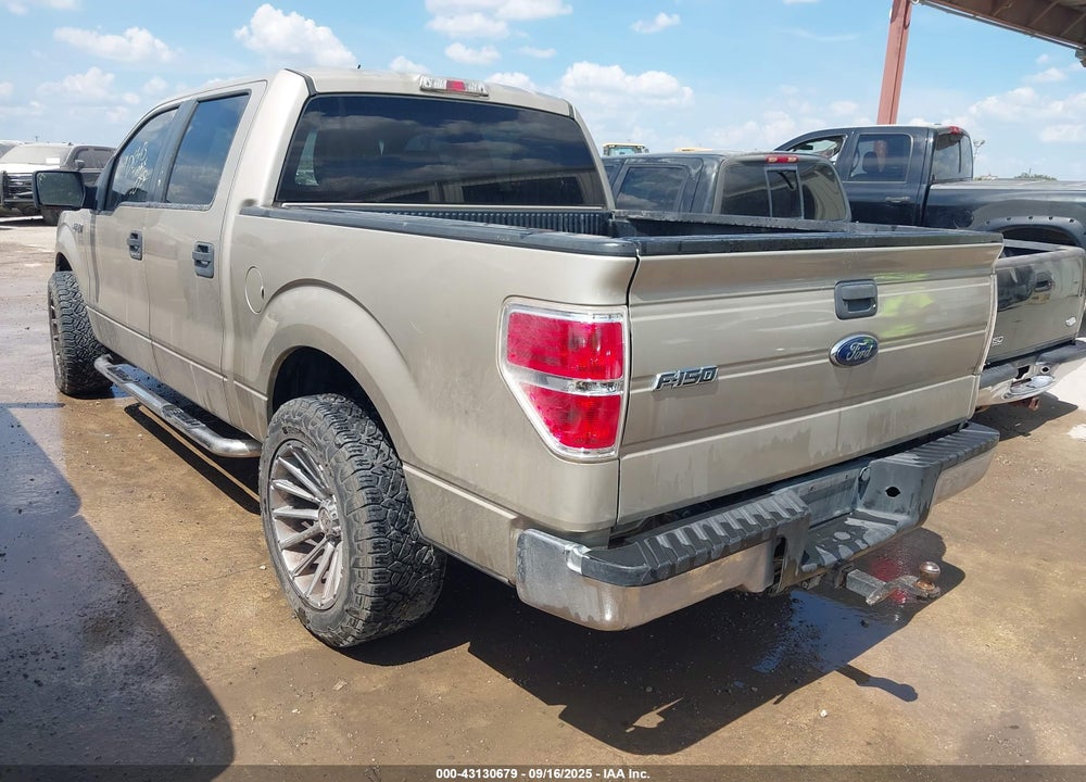 2010 FORD F-150 VIN: 1FTEW1C81AFD86843
