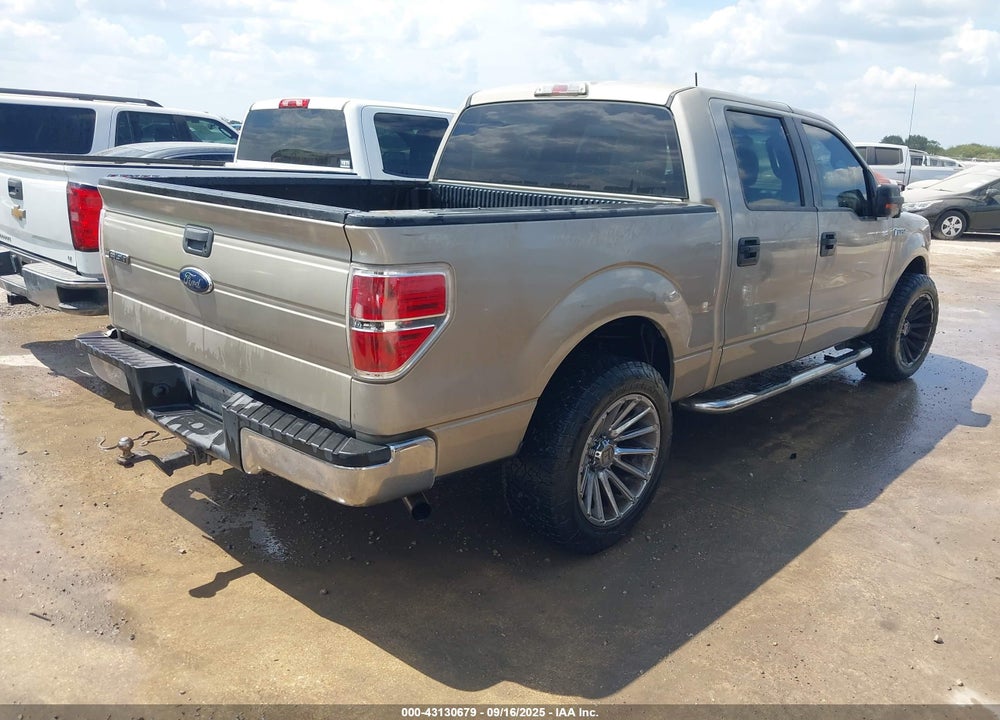 2010 FORD F-150 VIN: 1FTEW1C81AFD86843