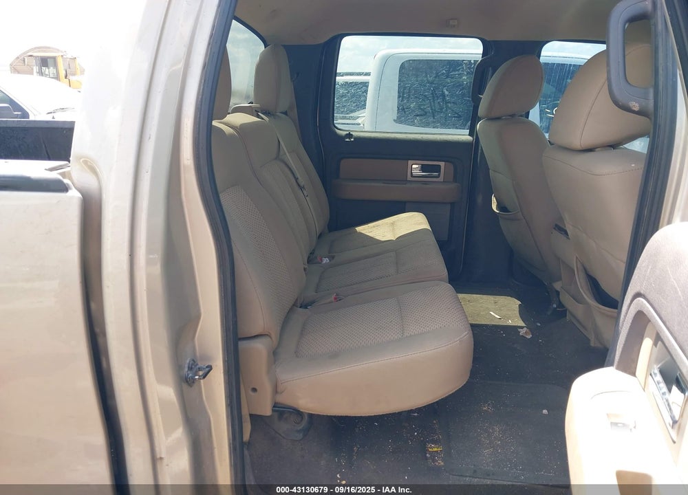 2010 FORD F-150 VIN: 1FTEW1C81AFD86843