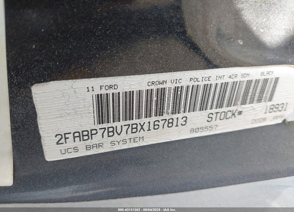 2011 FORD CROWN VICTORIA VIN: 2FABP7BV7BX167813