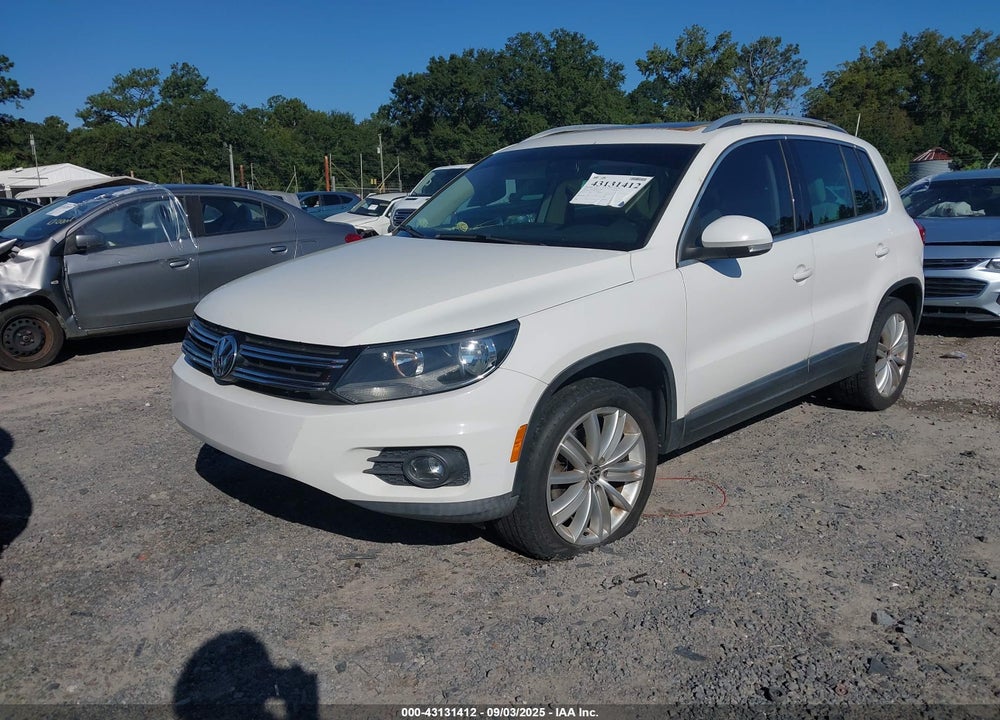2012 VOLKSWAGEN TIGUAN SE VIN: WVGAV7AX8CW566799