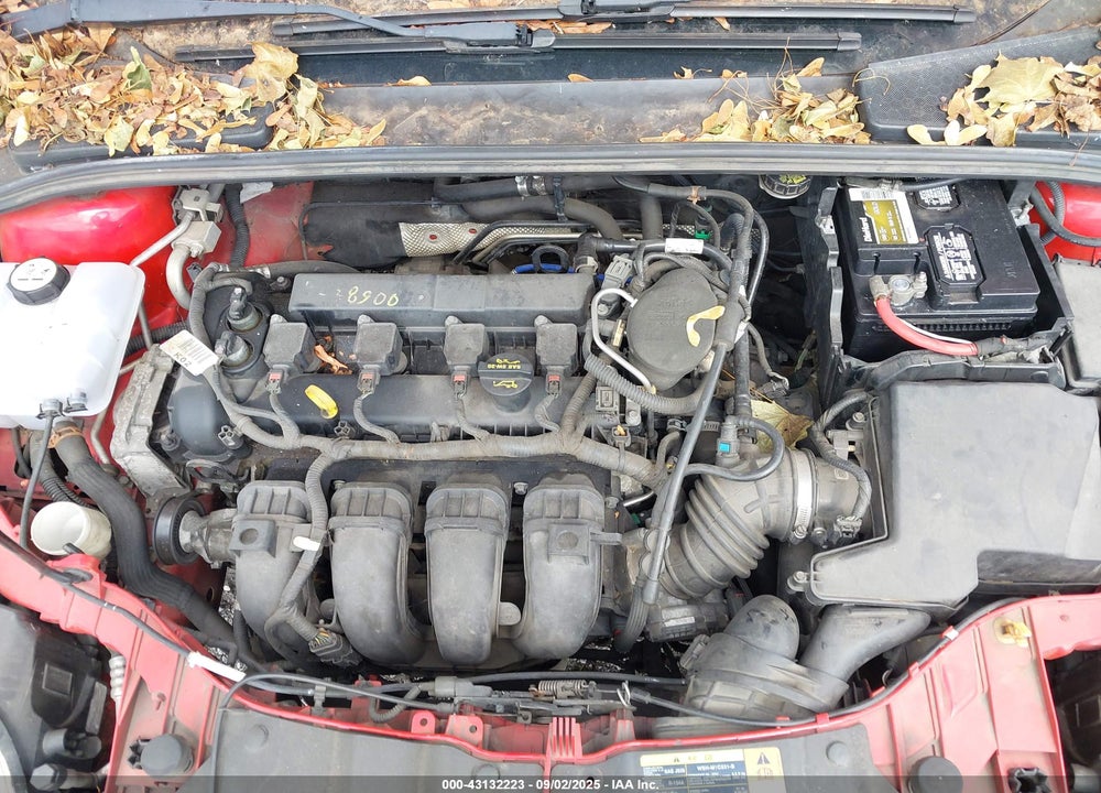 2013 FORD FOCUS VIN: 1FADP3K23DL247701
