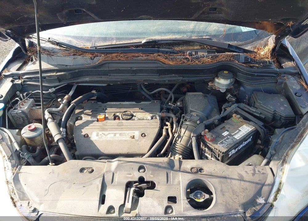 2007 HONDA CR-V VIN: JHLRE48317C109318
