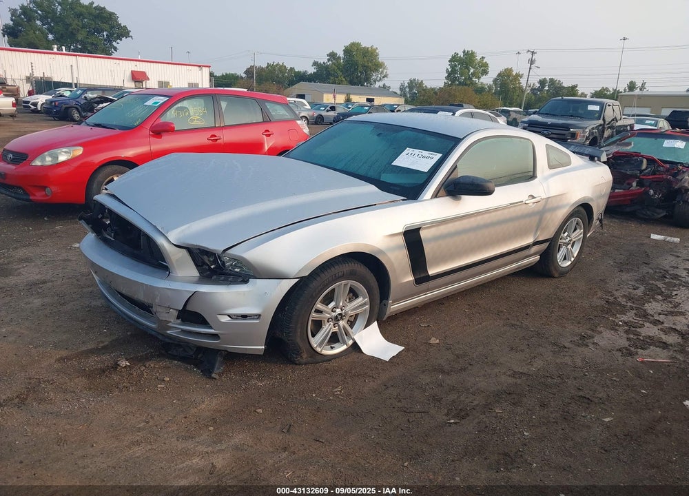 2013 FORD MUSTANG VIN: 1ZVBP8AM0D5228624