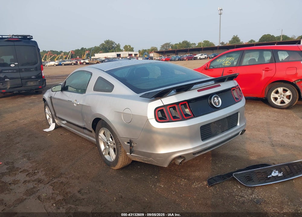 2013 FORD MUSTANG VIN: 1ZVBP8AM0D5228624