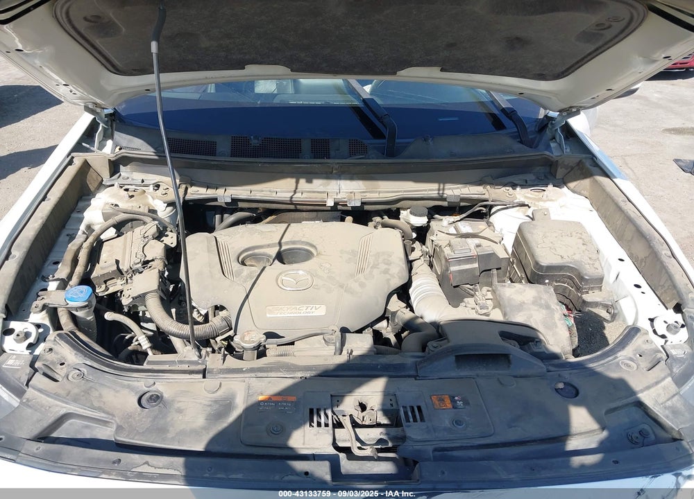 2019 MAZDA CX-9 VIN: JM3TCACYXK0306919