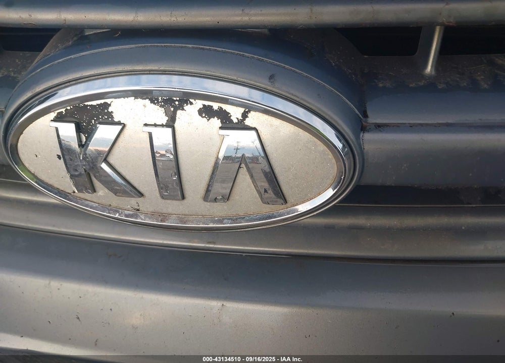 2009 KIA SEDONA LX VIN: KNDMB233596313021