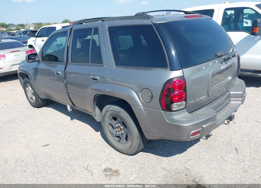 2008 CHEVROLET TRAILBLAZER VIN: 1GNDS13S182105250