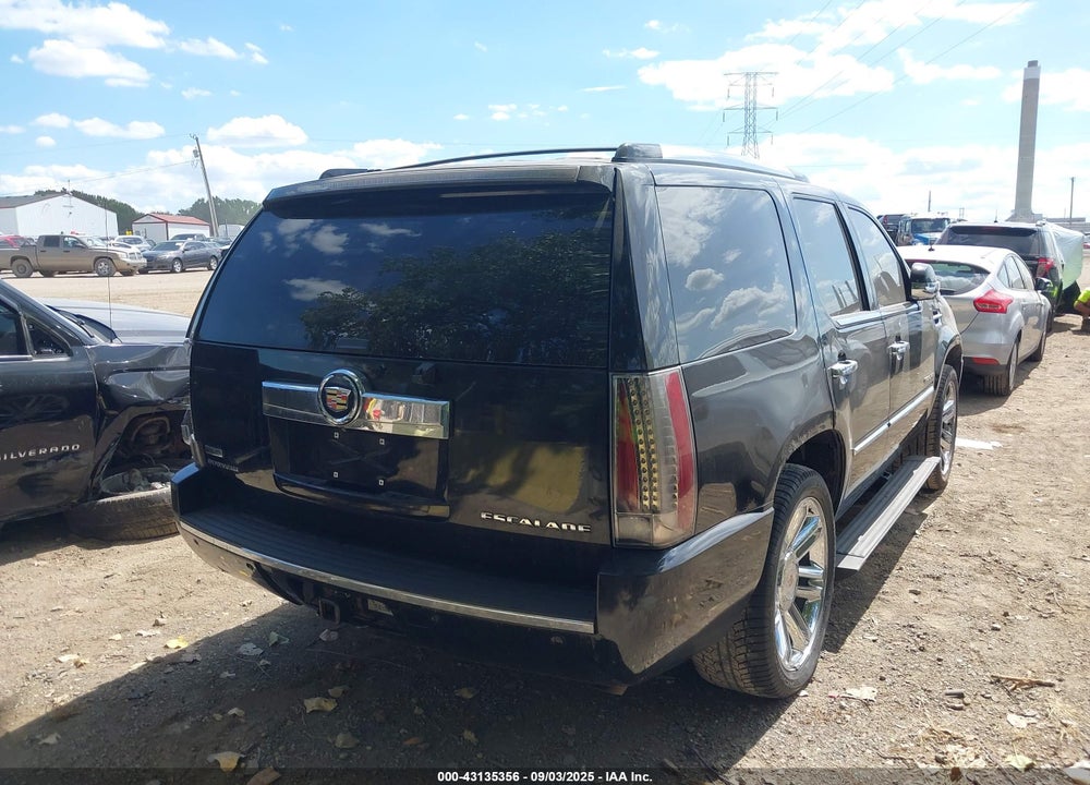 2010 CADILLAC ESCALADE VIN: 1GYUKDEF0AR160855
