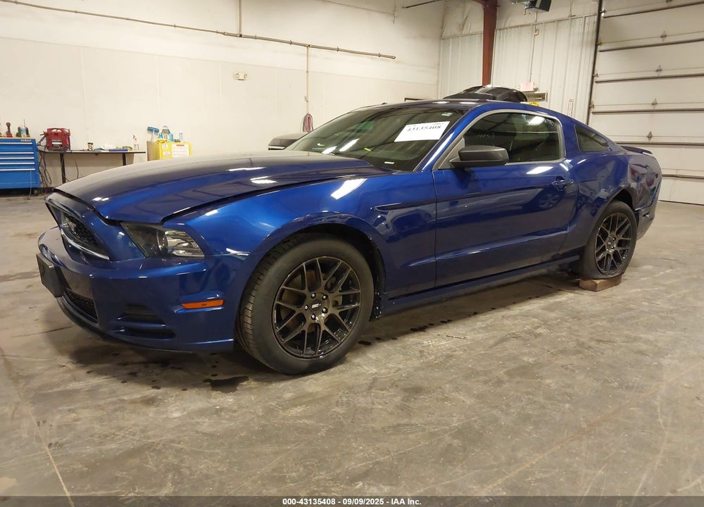 2013 FORD MUSTANG VIN: 1ZVBP8AM6D5262275