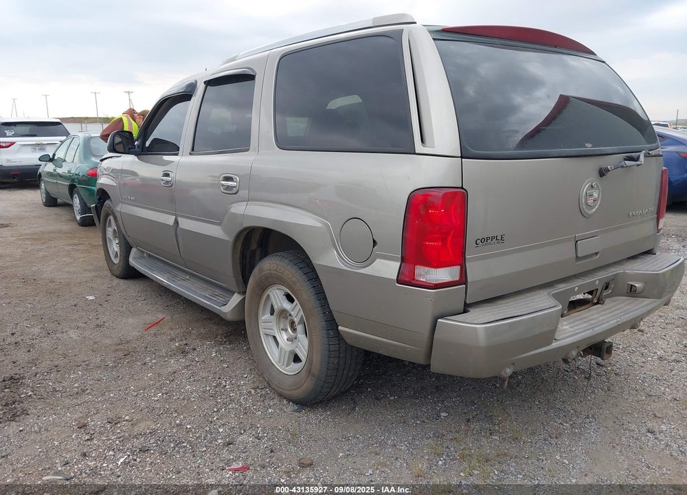 2002 CADILLAC ESCALADE STANDARD VIN: 1GYEK63N22R321492