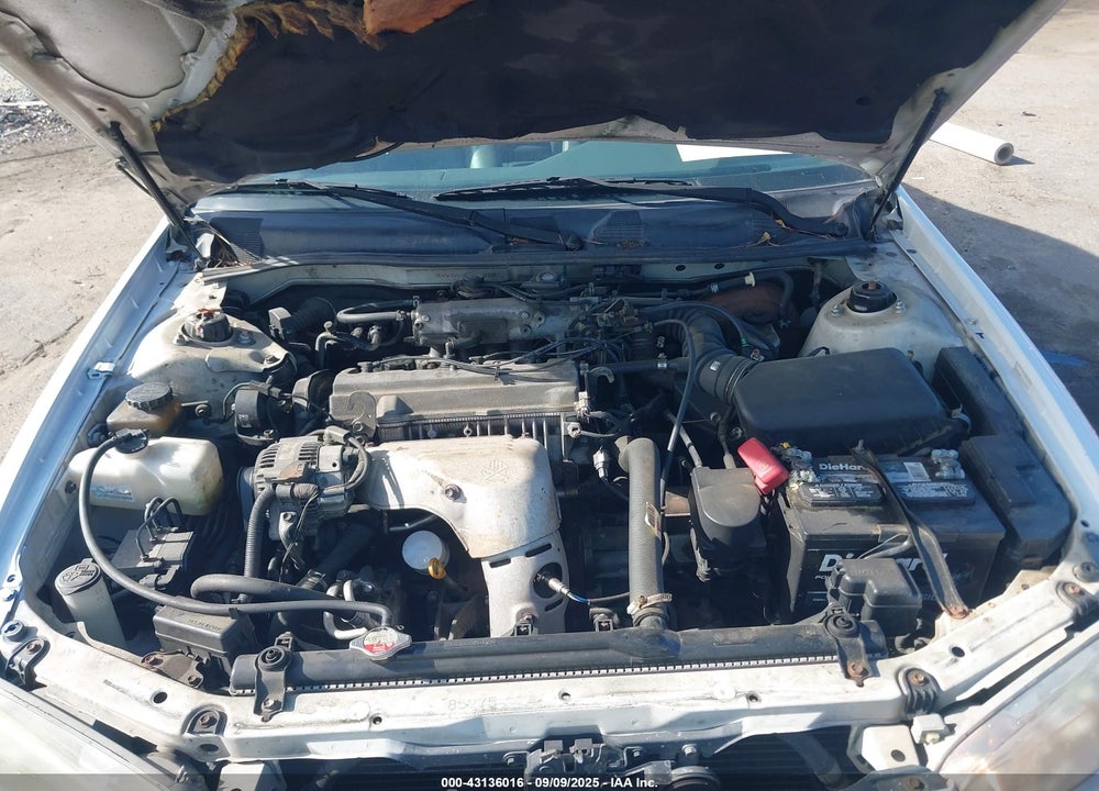 2000 TOYOTA CAMRY XLE VIN: JT2BG28K2Y0493612