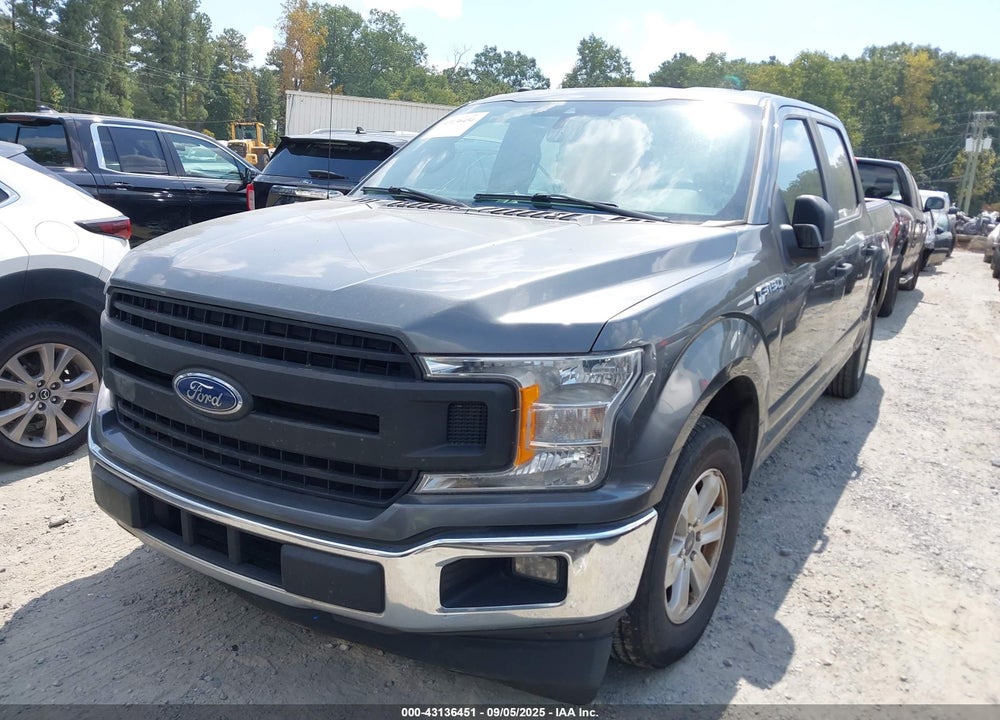 2019 FORD F-150 XL VIN: 1FTEW1CP2KFC01045